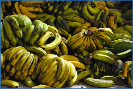 52b) pisang