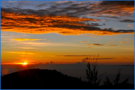 084) bromo