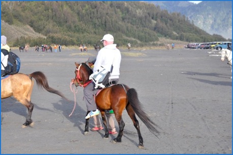 098) bromo